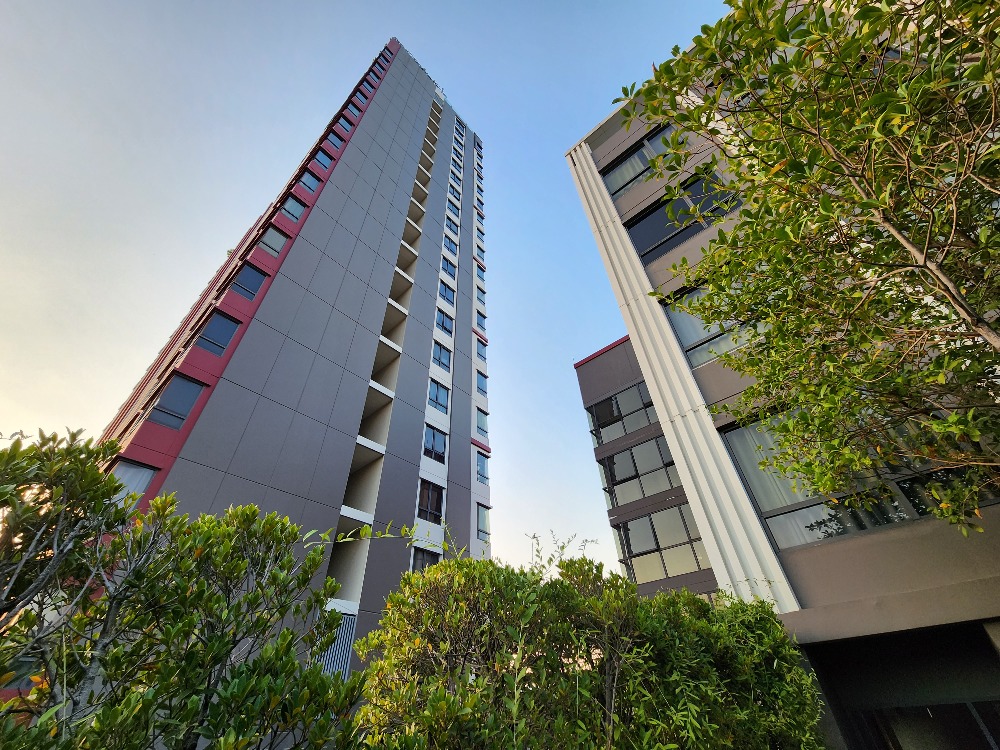 ให้เช่าคอนโดปิ่นเกล้า จรัญสนิทวงศ์ : ติดจองครับผม ** ห้องหายากมาๆ 1 ชั้น มี1 ห้อง ห้องมุม 3 ทิศ!!**ให้เช่าคอนโด ทำเลศิริราช The Tree จรัญ 30 ใกล้ MRTไฟฉายSN494.3030