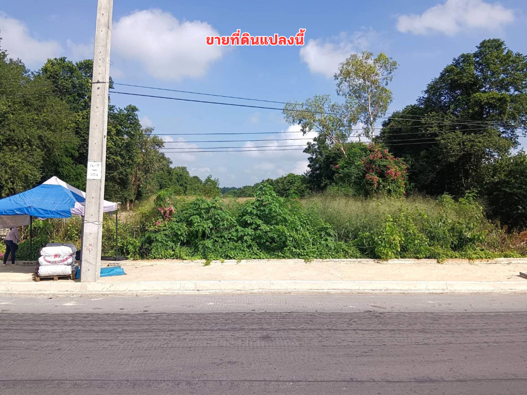 For SaleLandRatchaburi : Land for sale, 14 rai, 2 ngan, 14 square wa, next to Highway 3208, Tha Khoi Subdistrict, Suan Phueng District, Ratchaburi Province