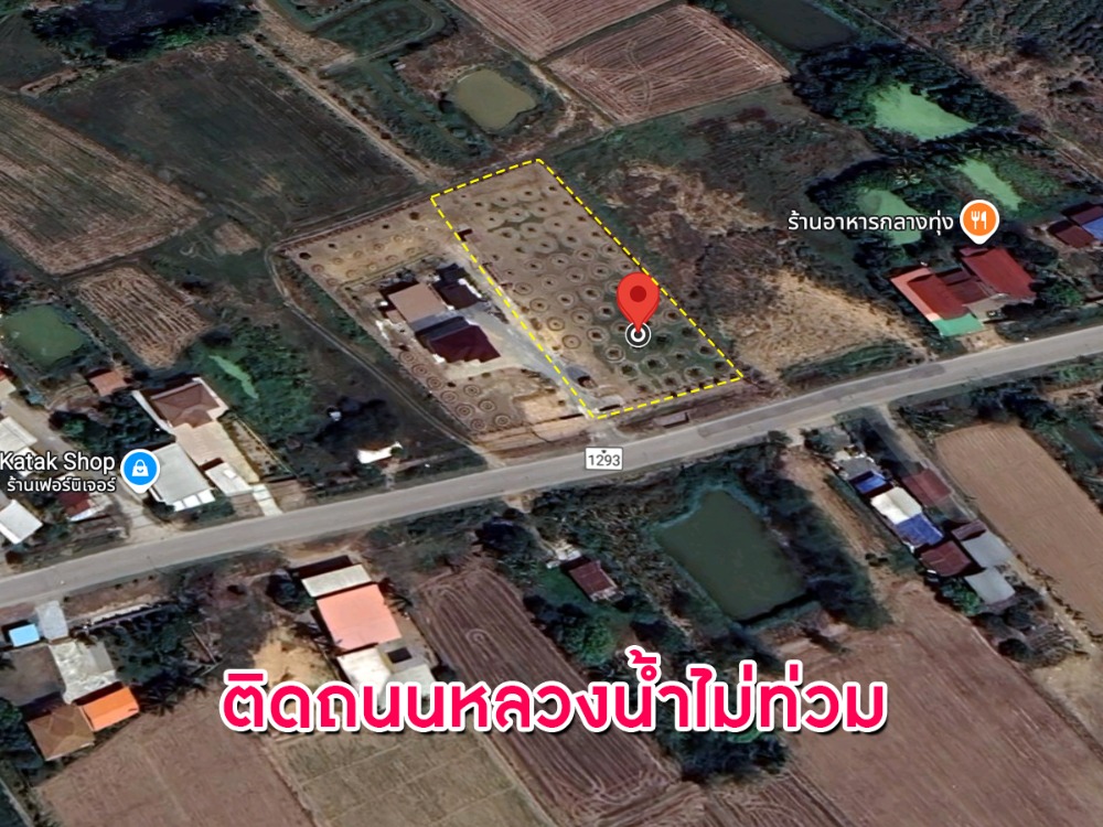 ขายที่ดินสุโขทัย : ขายด่วน! ที่ดินพื้นที่ 2 ไร่ พร้อมผลผลิตอินทผาลัมพร้อมขาย พื้นที่น้ำไม่ทวม