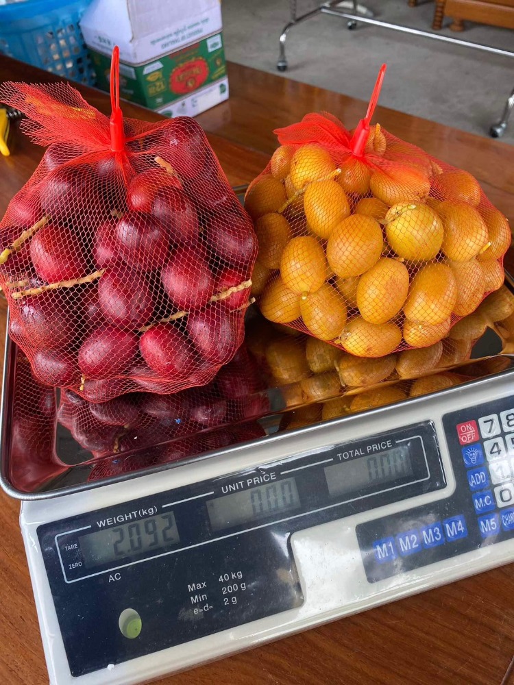 ขายที่ดินสุโขทัย : ขายด่วน! ที่ดินพื้นที่ 2 ไร่ พร้อมผลผลิตอินทผาลัมพร้อมขาย พื้นที่น้ำไม่ทวม