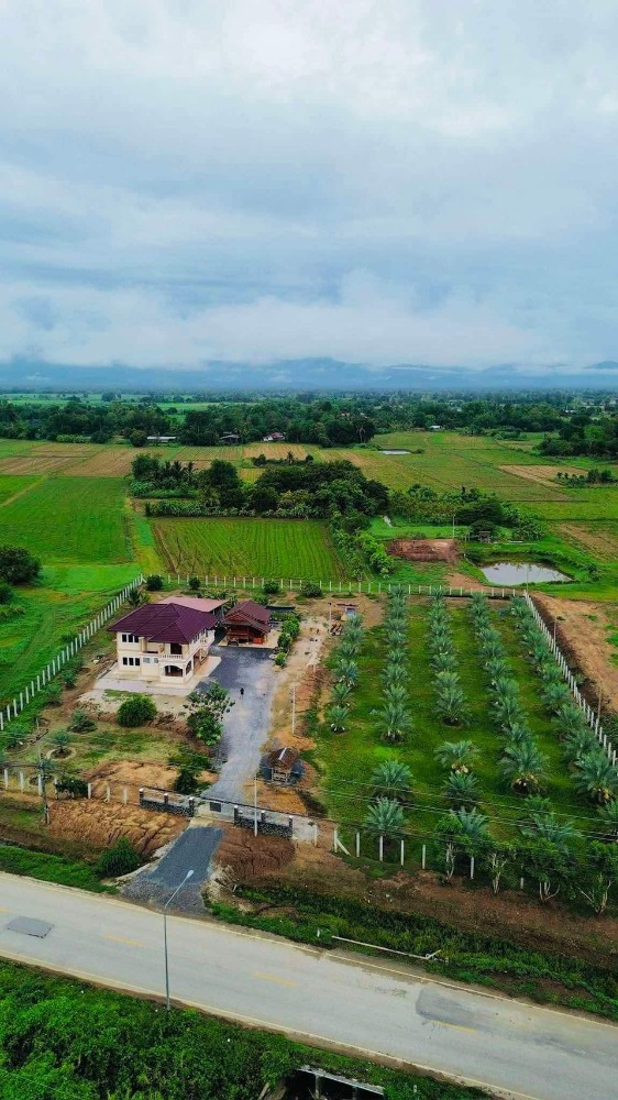 ขายที่ดินสุโขทัย : ขายด่วน! ที่ดินพื้นที่ 2 ไร่ พร้อมผลผลิตอินทผาลัมพร้อมขาย พื้นที่น้ำไม่ทวม