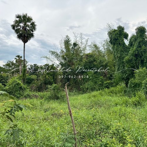 For SaleLandKoh Samui, Surat Thani : 🔥 Land 3-1-74.1 rai in the center of Surat Thani city, suitable for business 🔥