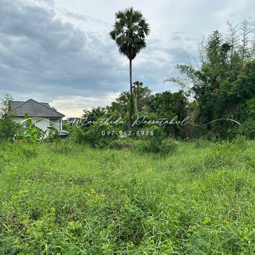 For SaleLandKoh Samui, Surat Thani : 🔥 Land 3-1-74.1 rai in the center of Surat Thani city, suitable for business 🔥