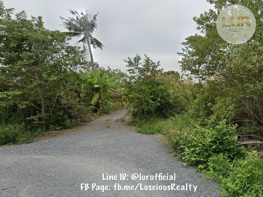 ขายที่ดินปทุมธานี รังสิต ธรรมศาสตร์ : ขายที่ดินปทุม ซอยร่วมสุข ซอย 8/18 ขนาด 7 ไร่ 35 ตรว. ผังสีชมพู ตรว. ละ 7,000 บาท