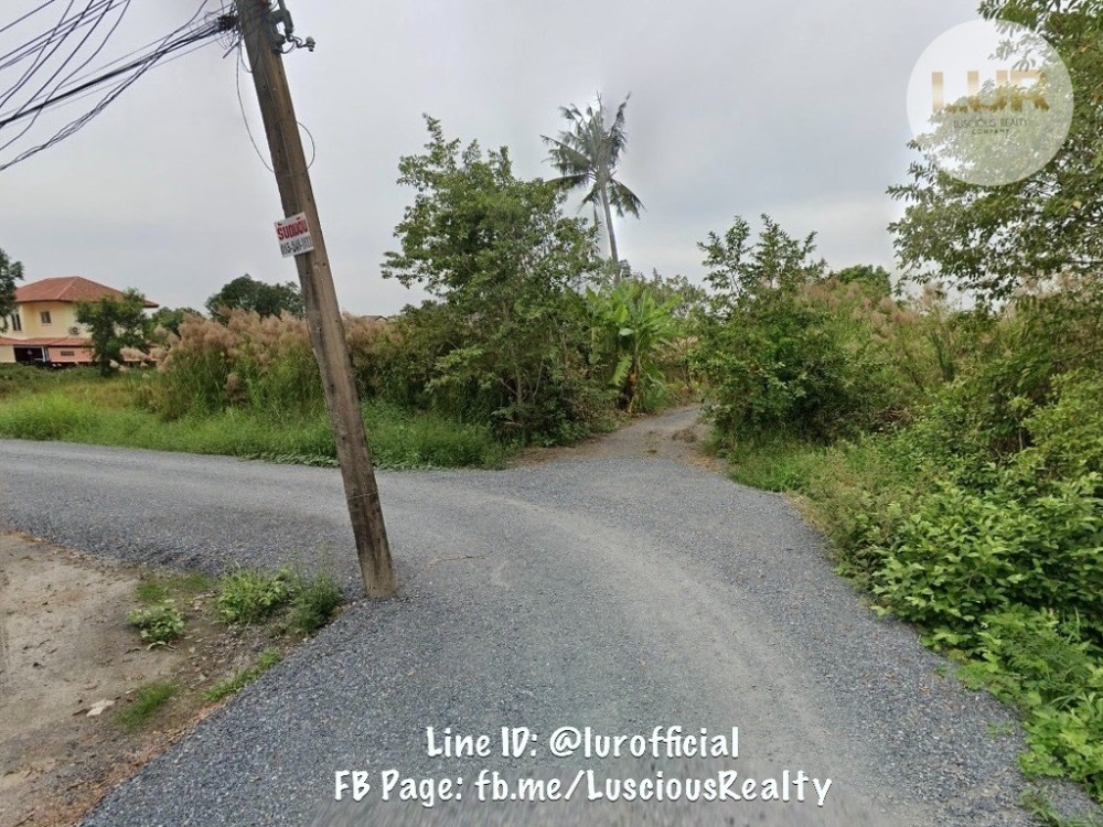 ขายที่ดินปทุมธานี รังสิต ธรรมศาสตร์ : ขายที่ดินปทุม ซอยร่วมสุข ซอย 8/18 ขนาด 7 ไร่ 35 ตรว. ผังสีชมพู ตรว. ละ 7,000 บาท