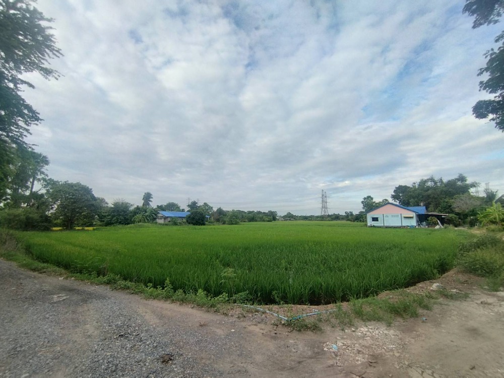 ขายที่ดินมีนบุรี-ร่มเกล้า : ขาย ที่ดิน ที่นา พื้นที่สีเขียวลาย หลายแปลง วัดสุขใจ นิมิตใหม่ คลองสามวา เบนชะโด บึงแตงโม ประชาร่วมใจ มิตรไมตรี คู้ซ้าย คู้ขวา หนองจอก สุวินทวงศ์ มีนบุรี หทัยราษฎร์ พระยาสุเรนทร์ พร้อมโอน