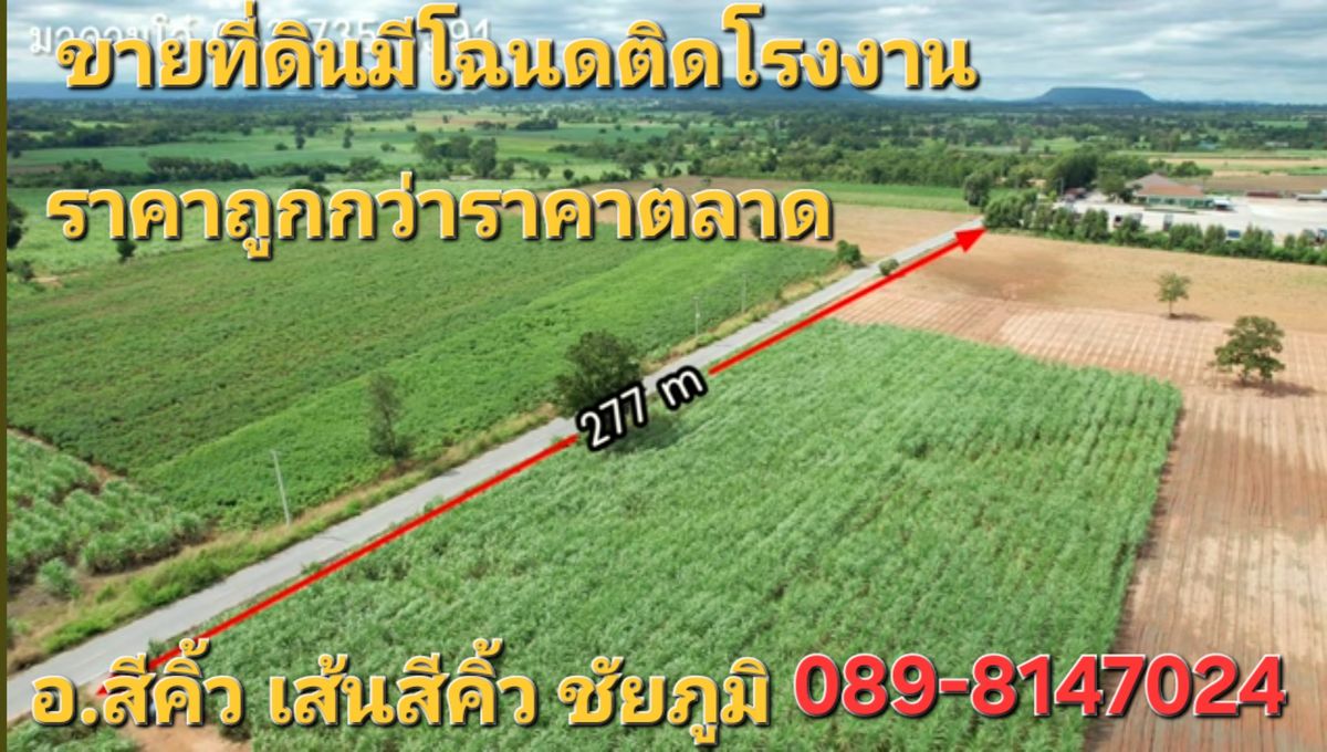 ขายที่ดินโคราช นครราชสีมา : 💎ที่ดินโฉนดติดถนน​ โคราช💢หน้างกว้า280เมตร💢ราคาถูกกว่าตลาดมาก💢ห่างมิตรภาพ13ก.ม.​💢หน้ากว้างติดถนน💢เจ้าของขายเอง​ 089-8147024​