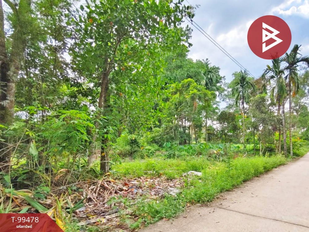 For SaleLandChanthaburi : Land for sale, area 1 ngan 20 sq.wa, Tha Chang, Chanthaburi