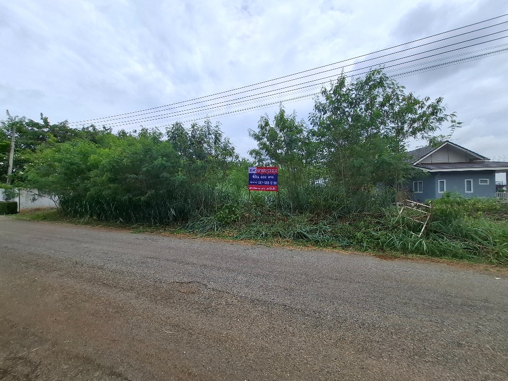 ขายที่ดินโคราช นครราชสีมา : ขายที่ดิน แปลงสวยบนเนิน วิวเขาใหญ่ สภาพแวดล้อมดีมาก , นครราชสีมา