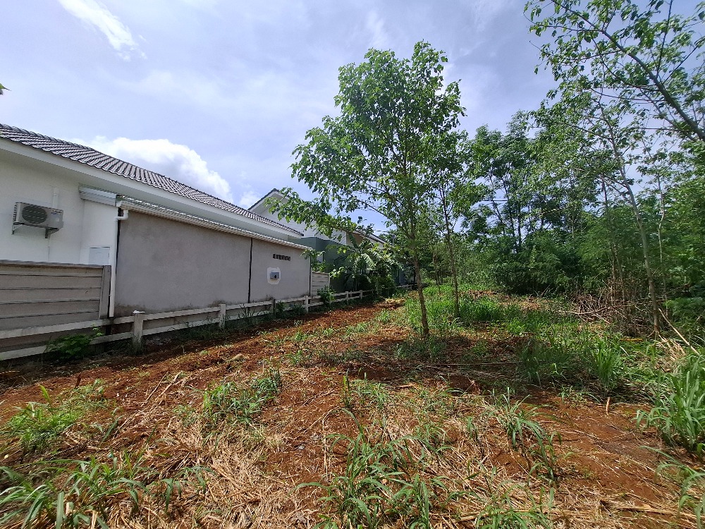 ขายที่ดินโคราช นครราชสีมา : ขายที่ดิน แปลงสวยบนเนิน วิวเขาใหญ่ สภาพแวดล้อมดีมาก , นครราชสีมา