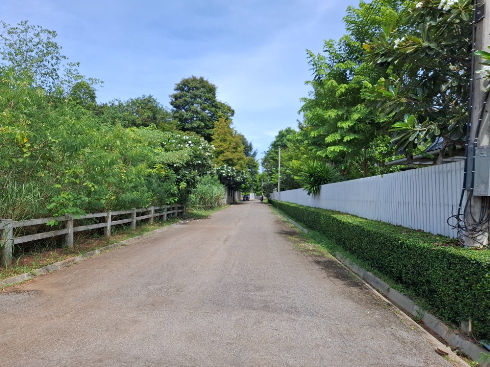 ขายที่ดินโคราช นครราชสีมา : ขายที่ดิน แปลงสวยบนเนิน วิวเขาใหญ่ สภาพแวดล้อมดีมาก , นครราชสีมา