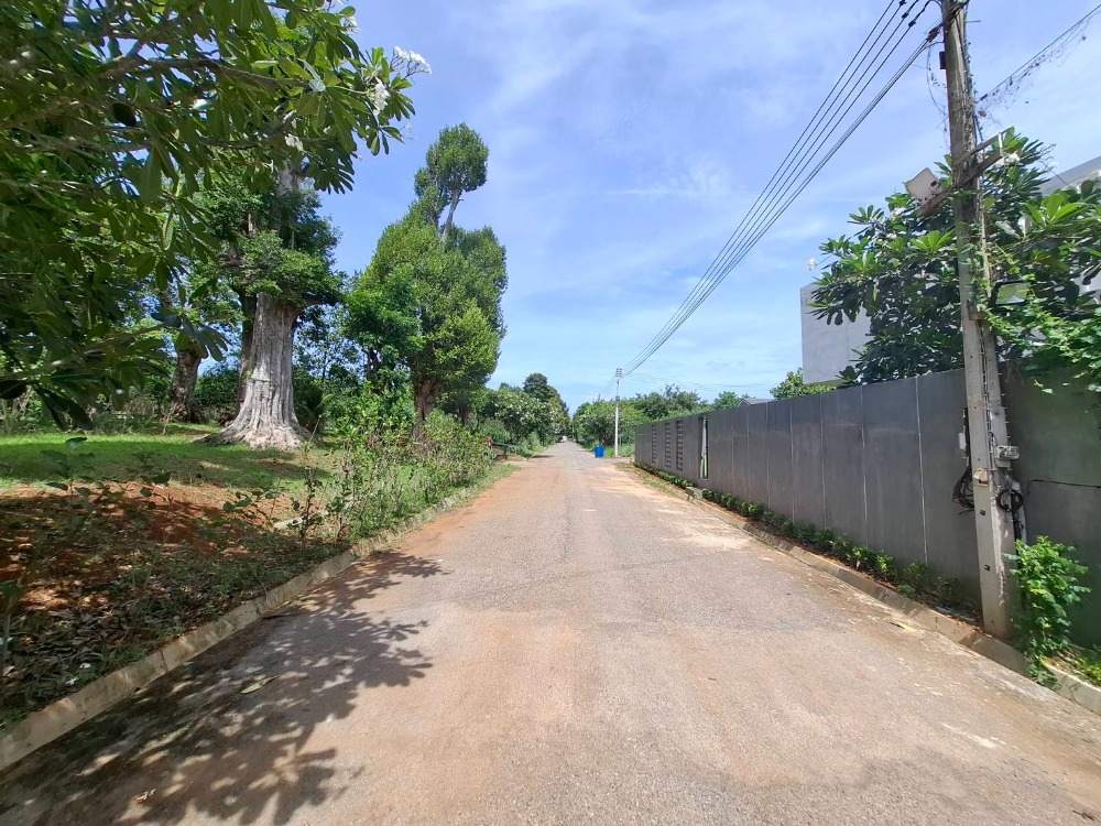 ขายที่ดินโคราช นครราชสีมา : ขายที่ดิน แปลงสวยบนเนิน วิวเขาใหญ่ สภาพแวดล้อมดีมาก , นครราชสีมา