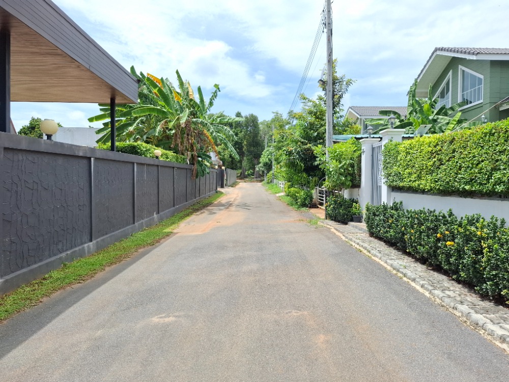 ขายที่ดินโคราช นครราชสีมา : ขายที่ดิน แปลงสวยบนเนิน วิวเขาใหญ่ สภาพแวดล้อมดีมาก , นครราชสีมา