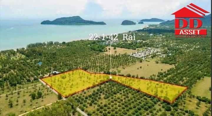 ขายที่ดินหัวหิน ประจวบคีรีขันธ์ : ขายที่ดินเปล่า อำเภอสามร้อยยอด จังหวัดประจวบคีรีขันธ์ ใกล้หาดสามร้อยยอด รหัส : L8021