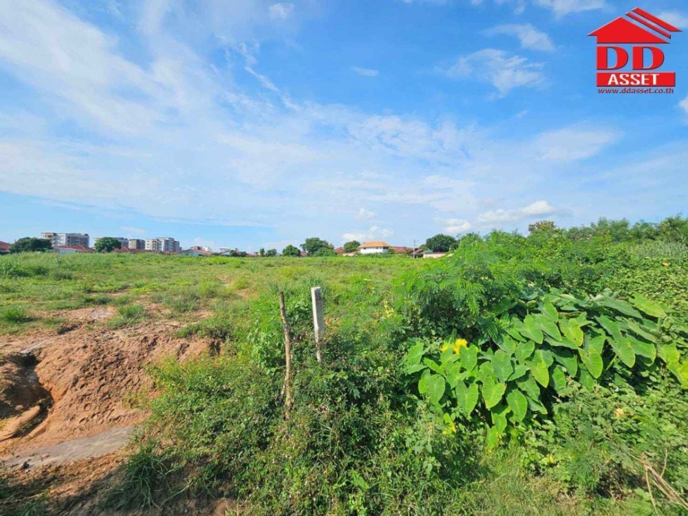 For SaleLandPattaya, Bangsaen, Chonburi : Land for sale, Bang Lamung District, Chonburi, near the Pattaya Railway, Code: L8022