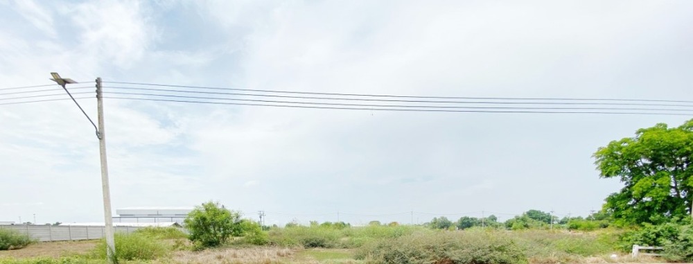 For SaleLandPathum Thani,Rangsit, Thammasat : Land for sale: 3 rai 50 square wa, Lam Luk Ka, Khlong 11