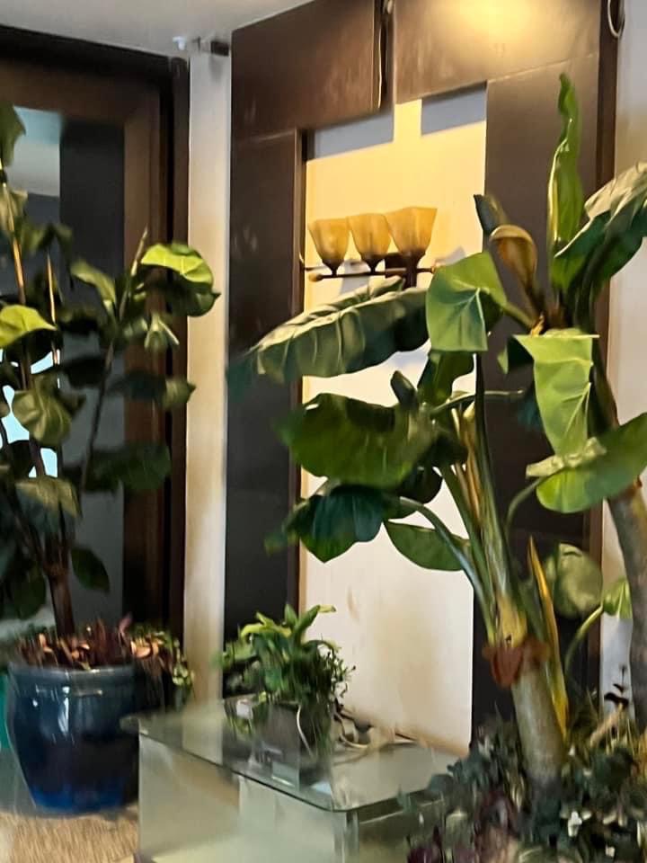 ให้เช่าคอนโดวิทยุ ชิดลม หลังสวน : Wittayu Complex, 3 bed, 52000 per month