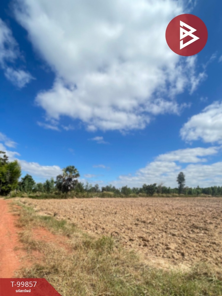 For SaleLandAmnat Charoen : Land for sale, filled in, area 30 rai, Kut Pla Duk, Amnat Charoen