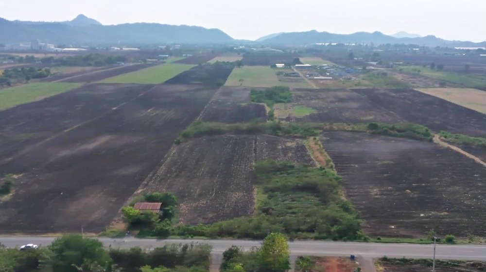 ขายที่ดินลพบุรี : ขายที่ดิน ช่องสาริกา อ.พัฒนานิคม 24 ไร่ 41.8 ตร.ว., ลพบุรี