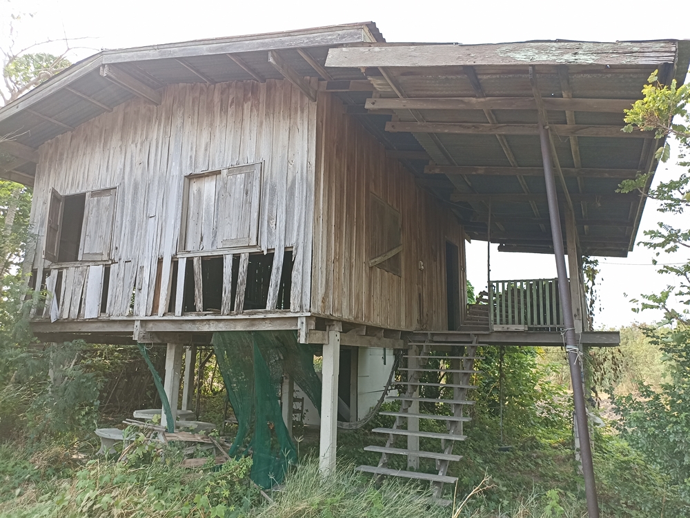 ขายที่ดินลพบุรี : ขายที่ดิน ช่องสาริกา อ.พัฒนานิคม 24 ไร่ 41.8 ตร.ว., ลพบุรี