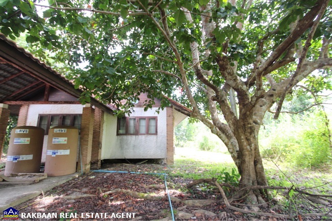 ขายที่ดินจันทบุรี : ขายที่ดิน Rabbit Hill Resort 1ไร่ 16วา พร้อมบ้านพักตากอากาศชั้นเดียว 2ห้องนอน 2ห้องน้ำ แวดล้อมด้วยภูเขา ด้านหลังเป็นลำธาร