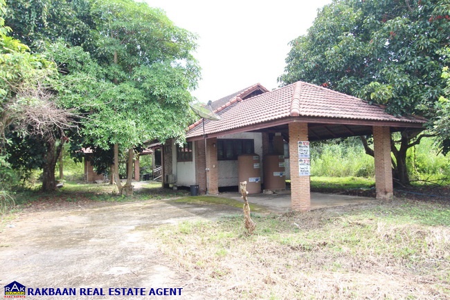 ขายที่ดินจันทบุรี : ขายที่ดิน Rabbit Hill Resort 1ไร่ 16วา พร้อมบ้านพักตากอากาศชั้นเดียว 2ห้องนอน 2ห้องน้ำ แวดล้อมด้วยภูเขา ด้านหลังเป็นลำธาร