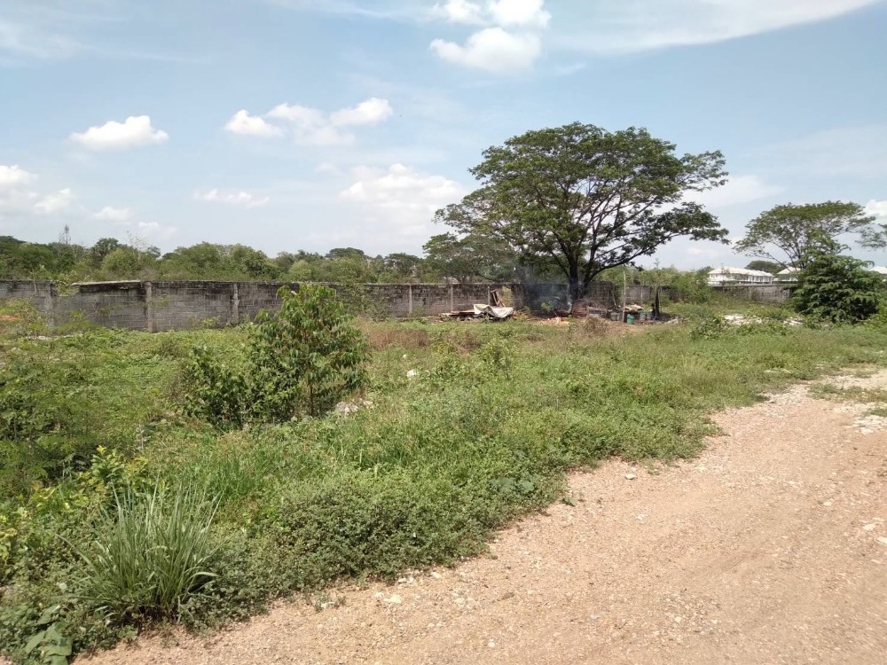 ขายที่ดินสระบุรี : ขายที่ดิน แปลงใหญ่ ตรงข้ามตลาด อ.หนองแค 77 ไร่, สระบุรี