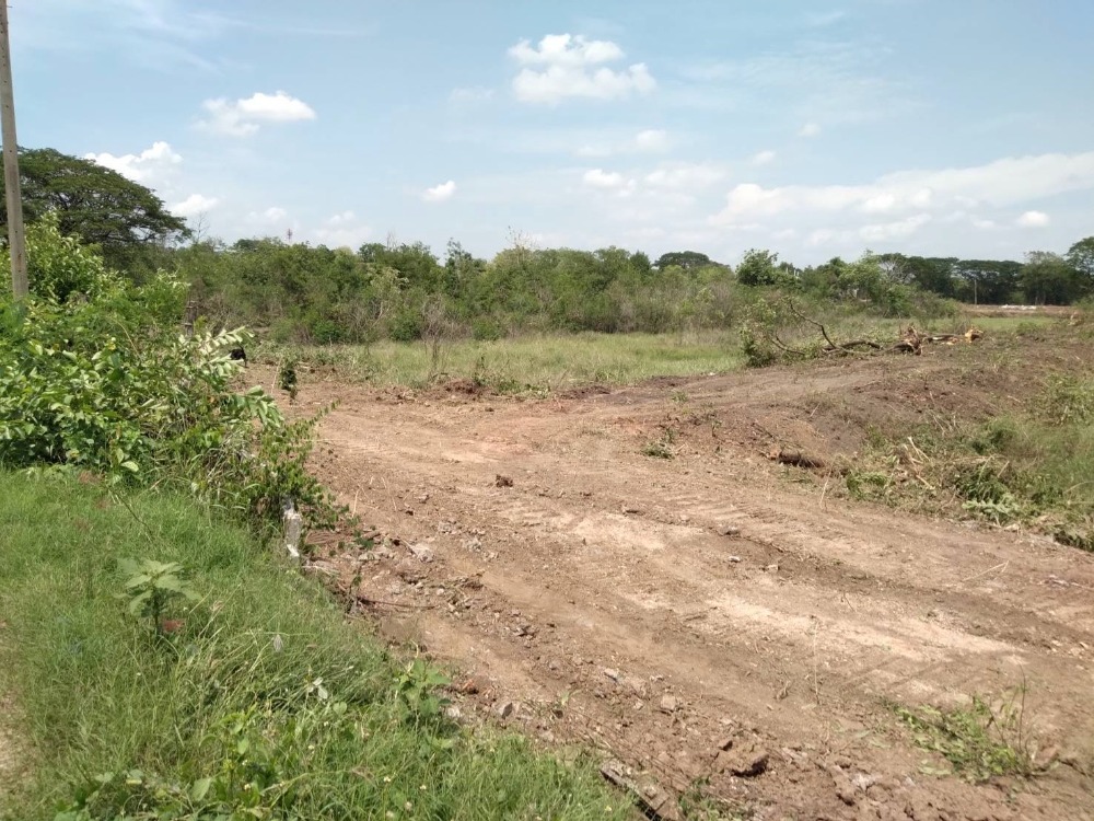 ขายที่ดินสระบุรี : ขายที่ดิน แปลงใหญ่ ตรงข้ามตลาด อ.หนองแค 77 ไร่, สระบุรี