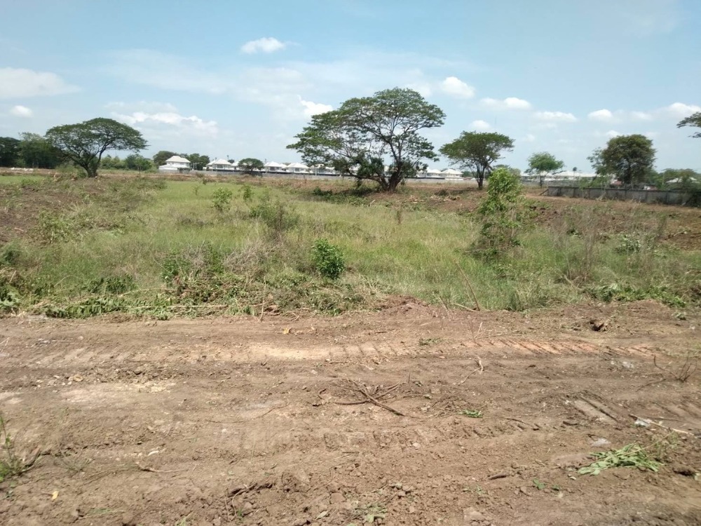 ขายที่ดินสระบุรี : ขายที่ดิน แปลงใหญ่ ตรงข้ามตลาด อ.หนองแค 77 ไร่, สระบุรี