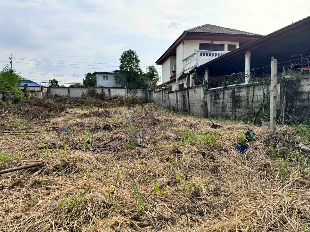 ขายที่ดินปทุมธานี รังสิต ธรรมศาสตร์ : ขายที่ดินเมืองเอกรังสิต(โครงการ3) 136 ตร.วา (เพียง 23,000/วา)