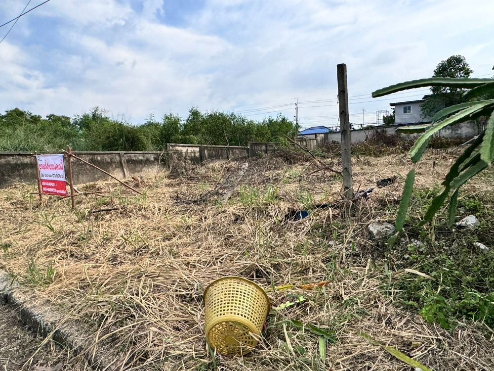 ขายที่ดินปทุมธานี รังสิต ธรรมศาสตร์ : ขายที่ดินเมืองเอกรังสิต(โครงการ3) 136 ตร.วา (เพียง 23,000/วา)