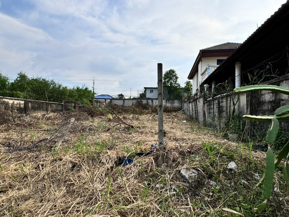ขายที่ดินปทุมธานี รังสิต ธรรมศาสตร์ : ขายที่ดินเมืองเอกรังสิต(โครงการ3) 136 ตร.วา (เพียง 23,000/วา)