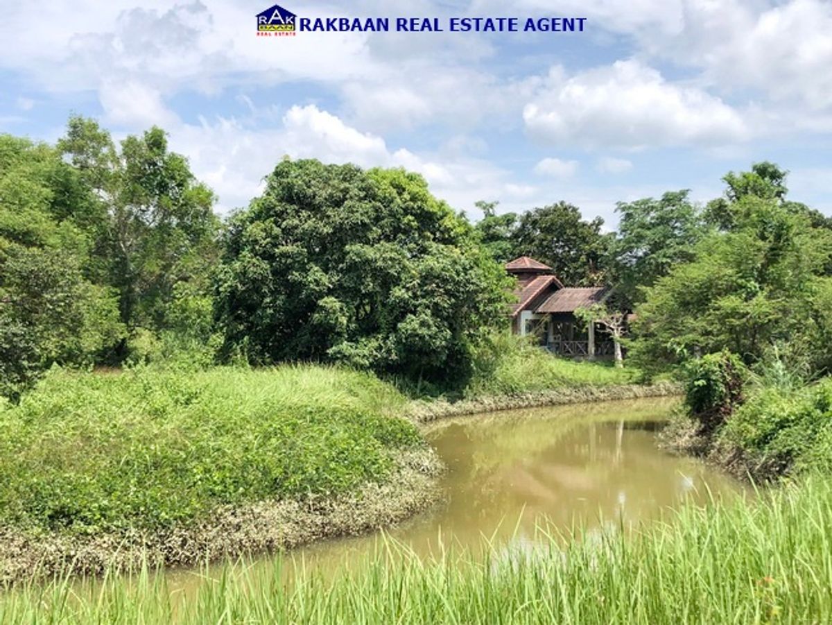 ขายที่ดินจันทบุรี : ขายที่ดิน Rabbit Hill Resort 1ไร่ 16วา พร้อมบ้านพักตากอากาศชั้นเดียว 2ห้องนอน 2ห้องน้ำ แวดล้อมด้วยภูเขา ด้านหลังเป็นลำธาร