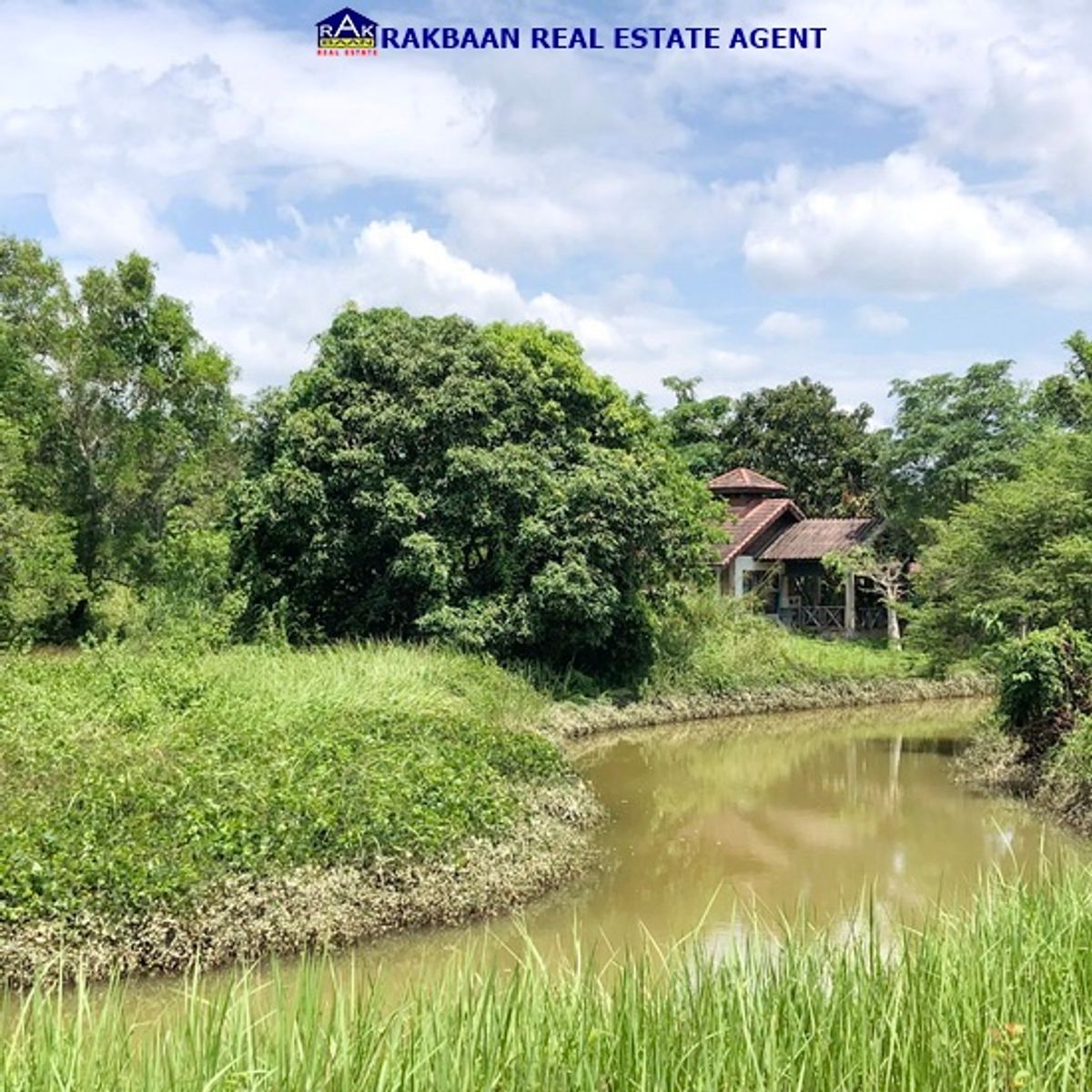 ขายที่ดินจันทบุรี : ขายที่ดิน Rabbit Hill Resort 1ไร่ 16วา พร้อมบ้านพักตากอากาศชั้นเดียว 2ห้องนอน 2ห้องน้ำ แวดล้อมด้วยภูเขา ด้านหลังเป็นลำธาร