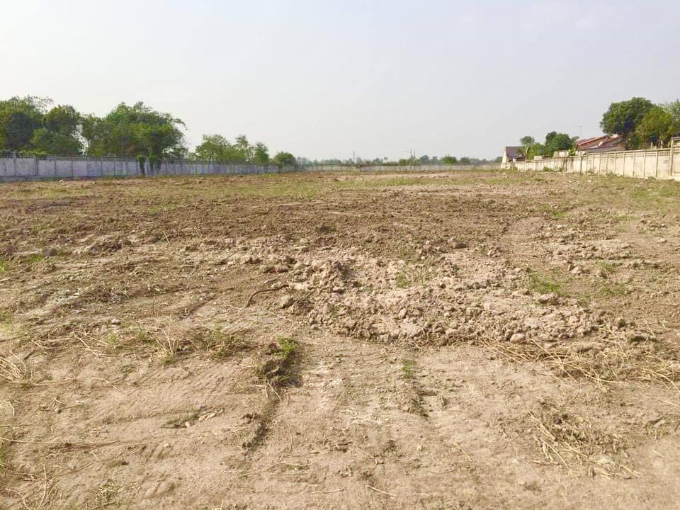 ขายที่ดินศรีราชา แหลมฉบัง บ้านบึง : ที่ดิน บ้านหนองโคน ต.บ้านบึง / (ขาย), Land Ban Nong Khon Tambon Ban Bueng / (SALE) AA120