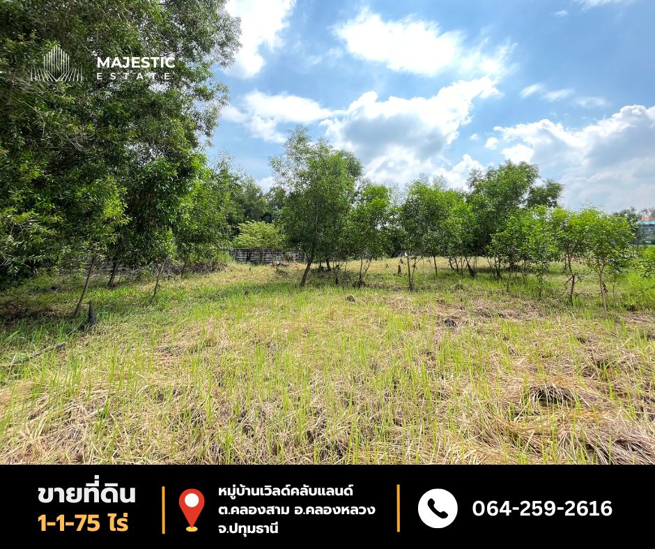 For SaleLandPathum Thani,Rangsit, Thammasat : Land for Sale in World Club Land Village 575 sq.wah Khlong Sam Subdistrict, Khlong Luang District, Pathum Thani. Ideal for residential homes, home offices, offices, or warehouses.