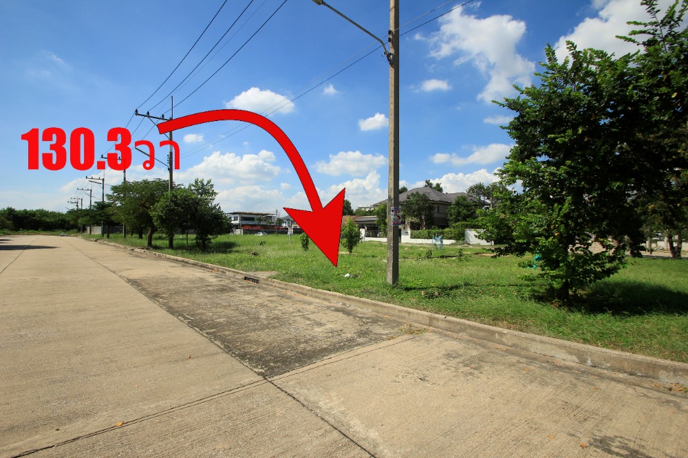 For SaleLandMahachai Samut Sakhon : Land Rama 2, Sarin City, Ban Mekha, Assumption School Rama 2, Wat Phanthai Norasing, land for building a house on the main road on 2 sides, 130.3 sq m, selling below the appraisal price of the Land Department.