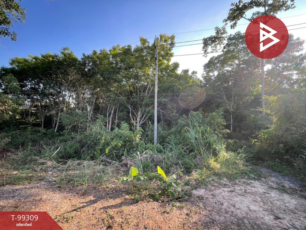For SaleLandChanthaburi : Land for sale, vacant land next to the road, area 6 rai 78 sq m, Na Yai Am, Chanthaburi