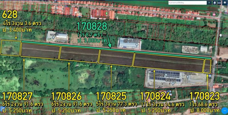 For SaleLandPathum Thani,Rangsit, Thammasat : Land 12-3-83 rai, Khlong 9, next to the road (purple area), width 66 meters, length 325 meters, Lam Luk Ka Subdistrict, Lam Luk Ka District, Pathum Thani Province