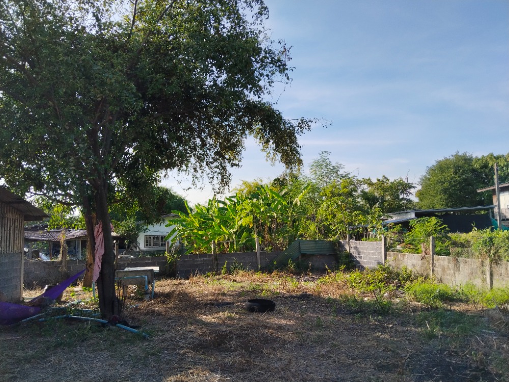 For SaleLandSaraburi : Land filled in, prime location, cheapest price, ready to build your dream home! Must decide quickly, if interested, contact us now.