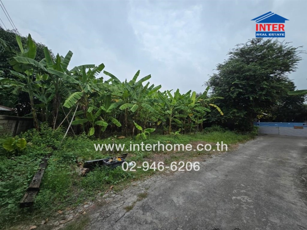 For SaleLandPathum Thani,Rangsit, Thammasat : Vacant land 128 sq.w. Land on Pathum Thani-Sam Khok Road, Soi Thesaban 1, Pathum Thani-Sam Khok Road, Rangsit-Pathum Thani Road, Sam Khok, Pathum Thani