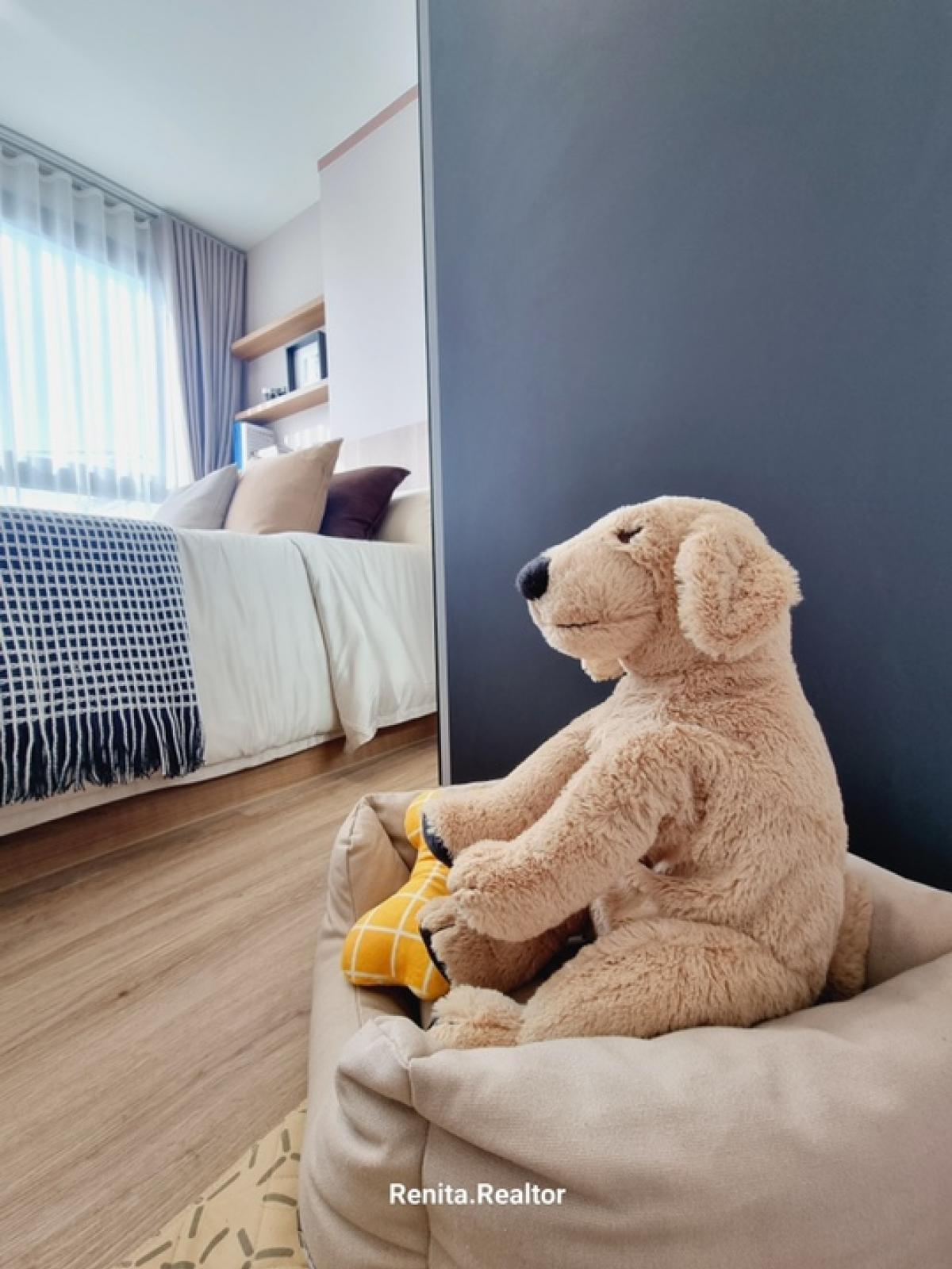 ขายคอนโดบางนา แบริ่ง ลาซาล : ✨ คอนโดมือ 1 เลี้ยงสัตว์ได้  เริ่มต้นเพียง 2.19  ลบ. 1 นอน 30 ตรม. ซ.สุขุมวิท 105  ลาซาล 17