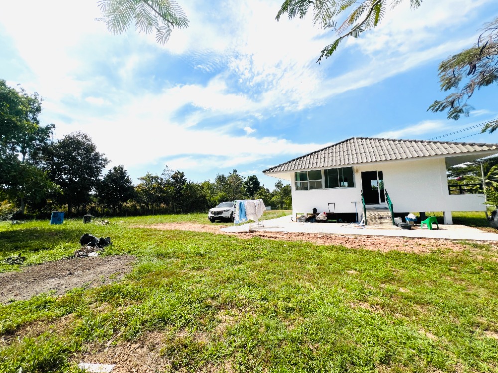 ขายที่ดินโคราช นครราชสีมา : ขาย บ้าน วังน้ำเขียว ติดถนนไทยสามัคคี นครราชสีมา