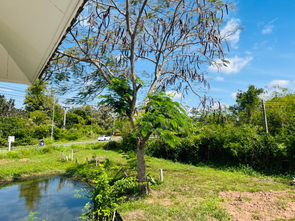 ขายที่ดินโคราช นครราชสีมา : ขาย บ้าน วังน้ำเขียว ติดถนนไทยสามัคคี นครราชสีมา