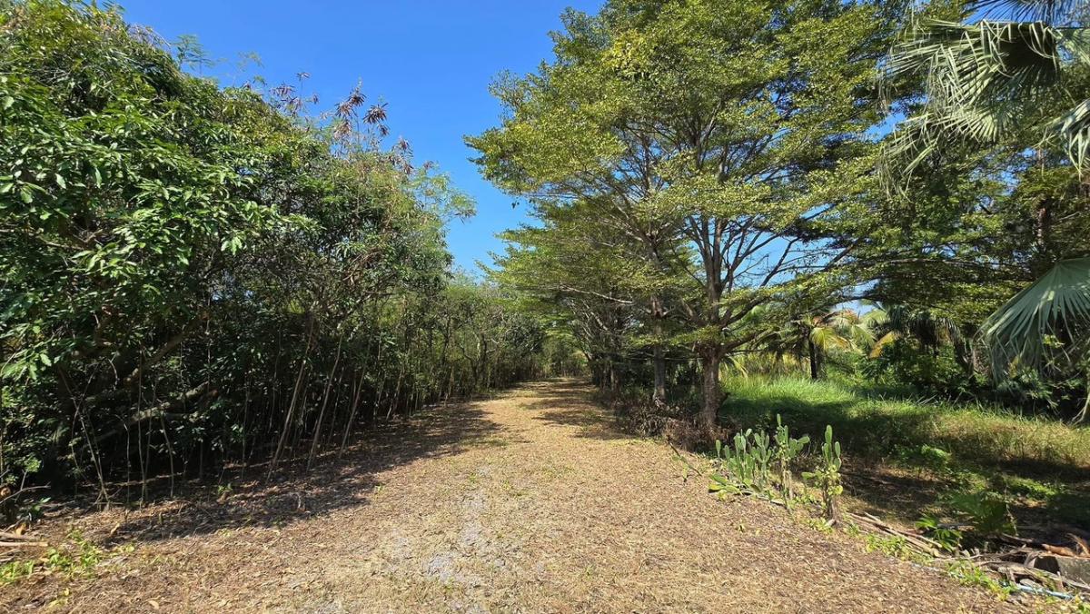 ขายที่ดินนครปฐม : ขายที่ดินสามพราน จังหวัดนครปฐมเนื้อที่ 7 ไร่ 2 งาน 95 ตารางวาพร้อมโกดัง ออฟฟิศ ขนาด 1,200 ตารางเมตรและโครงสร้างบ้านขนาด 1,300 ตารางเมตร