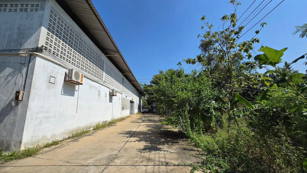 ขายที่ดินนครปฐม : ขายที่ดินสามพราน จังหวัดนครปฐมเนื้อที่ 7 ไร่ 2 งาน 95 ตารางวาพร้อมโกดัง ออฟฟิศ ขนาด 1,200 ตารางเมตรและโครงสร้างบ้านขนาด 1,300 ตารางเมตร