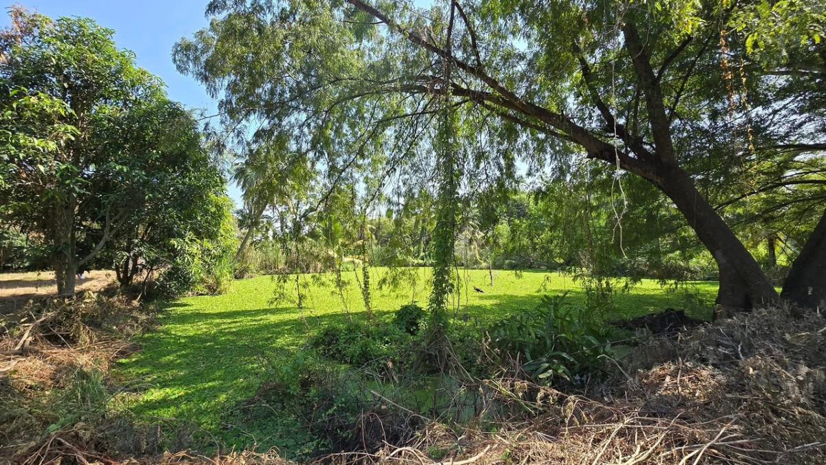 ขายที่ดินนครปฐม : ขายที่ดินสามพราน จังหวัดนครปฐมเนื้อที่ 7 ไร่ 2 งาน 95 ตารางวาพร้อมโกดัง ออฟฟิศ ขนาด 1,200 ตารางเมตรและโครงสร้างบ้านขนาด 1,300 ตารางเมตร