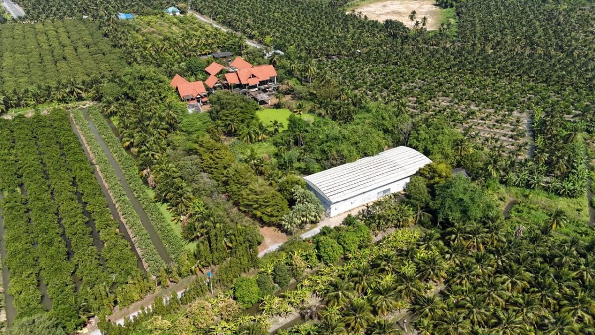 ขายที่ดินนครปฐม : ขายที่ดินสามพราน จังหวัดนครปฐมเนื้อที่ 7 ไร่ 2 งาน 95 ตารางวาพร้อมโกดัง ออฟฟิศ ขนาด 1,200 ตารางเมตรและโครงสร้างบ้านขนาด 1,300 ตารางเมตร