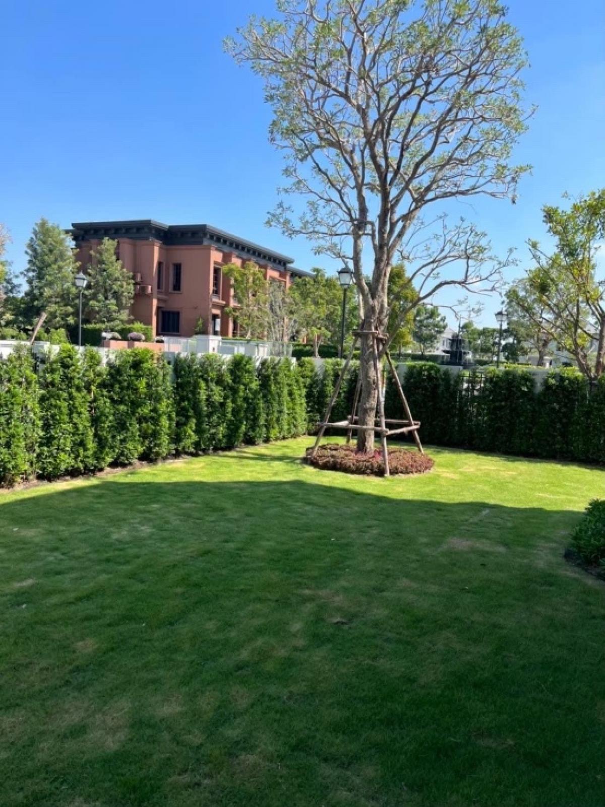 ให้เช่าบ้านพัฒนาการ ศรีนครินทร์ : 📢👇 Luxury New Home with Spacious Area at Narasiri Krungthep KreethaConvenient access to multiple routes, close to shopping malls and several international schools.❌ No pets allowed for rental.