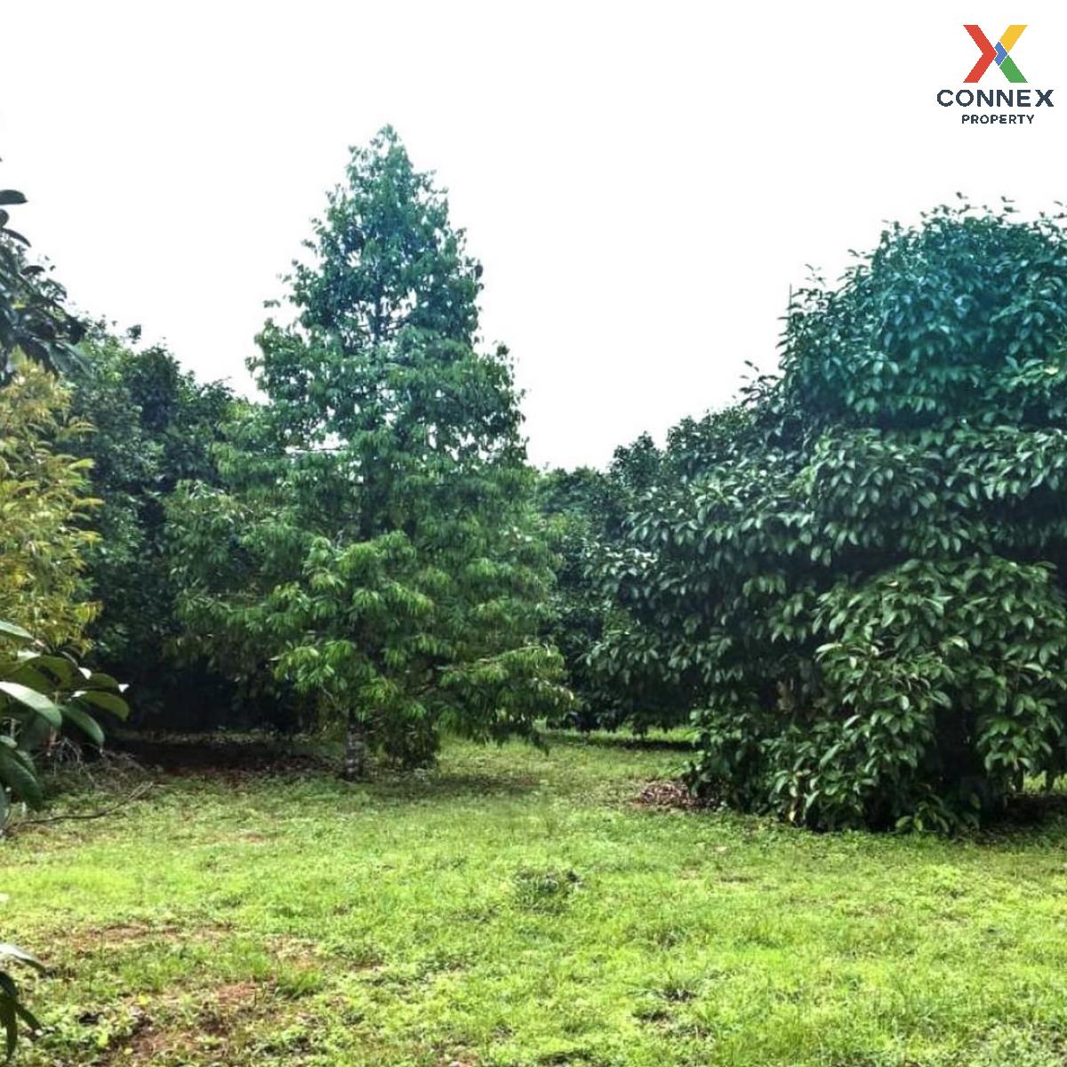 For SaleLandChanthaburi : For Sale  Land 6 rai 39 sqm Chanthaburi - Sa Kaeo , Makham , Makham , Chanthaburi , CX-111656